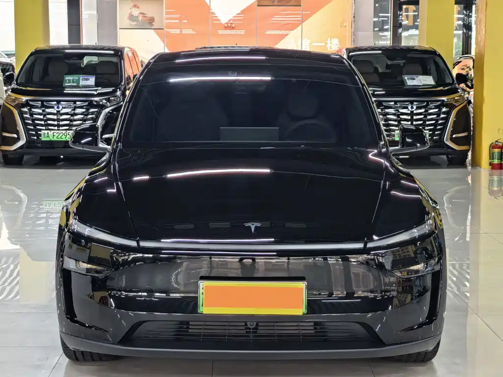 Tesla Model Y L — миниатюра 2