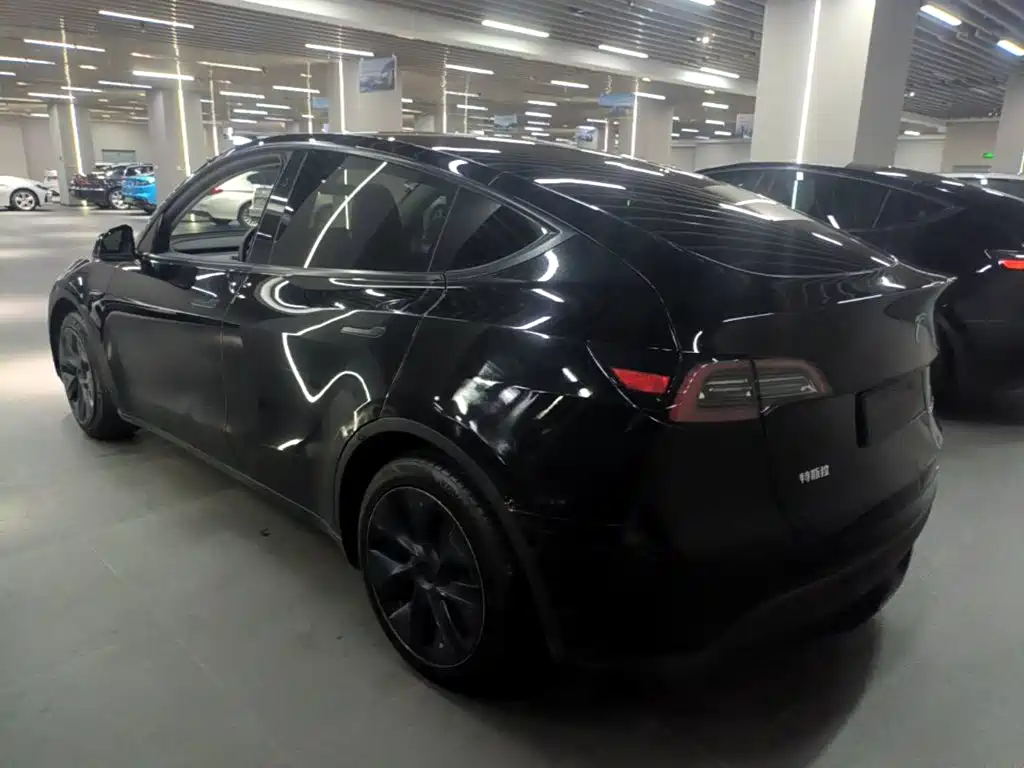 Tesla Model Y — миниатюра 5