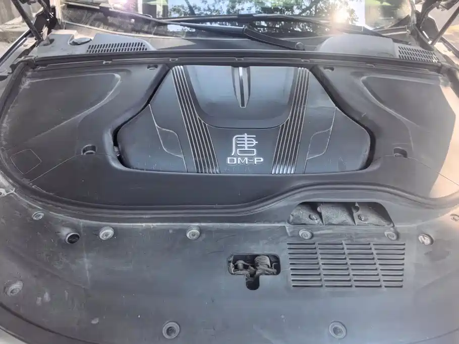 BYD Tang New Energy — миниатюра 10