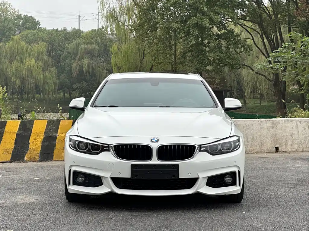 BMW 4 Series — миниатюра 2