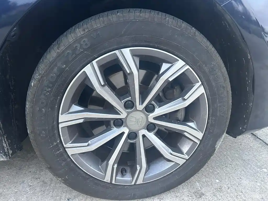 BYD MAX — миниатюра 9