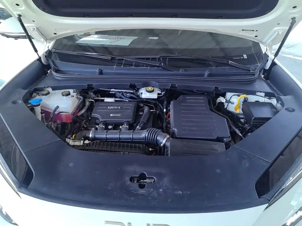 BYD Sealion 06 — миниатюра 20