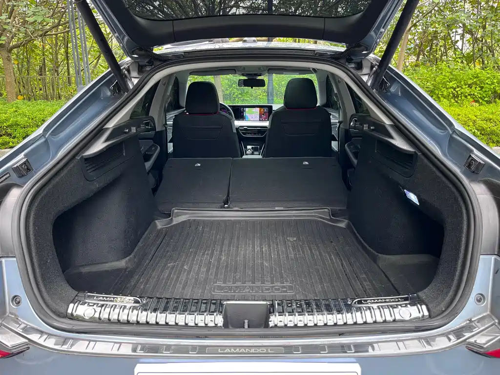 Volkswagen Lamando — миниатюра 17