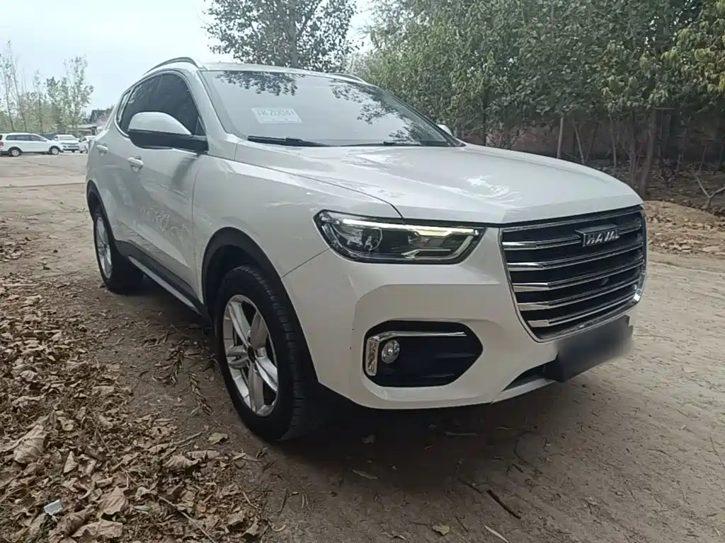 Haval H4 — миниатюра 4