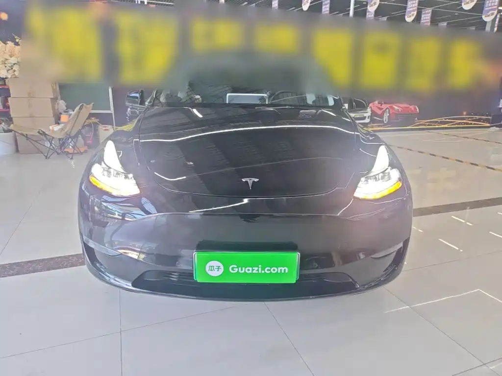 Tesla Model Y — миниатюра 3