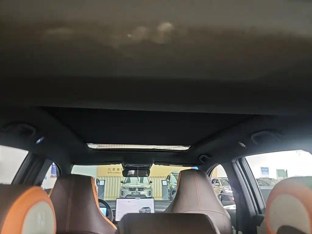 BYD Pro New Energy — миниатюра 18