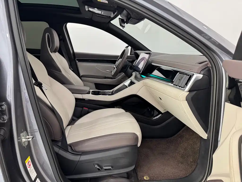 BYD PLUS New Energy — миниатюра 11