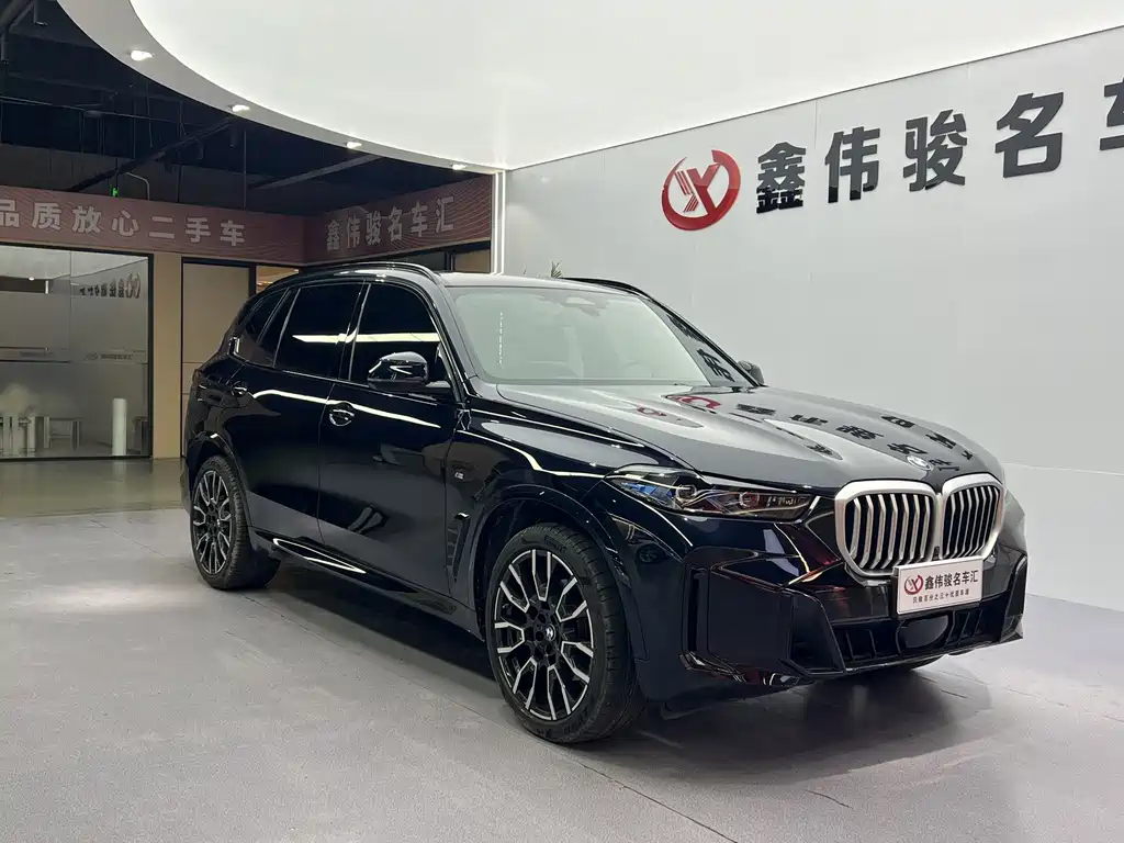 BMW X5 — миниатюра 4