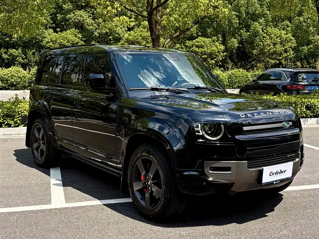 Land Rover Defender — миниатюра 4