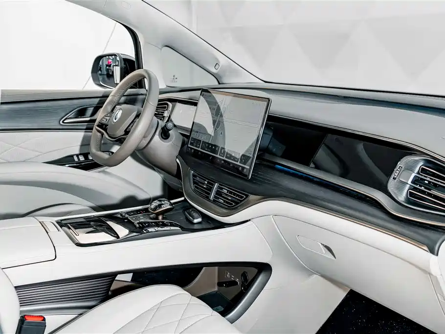 Denza Denza D9 — миниатюра 20