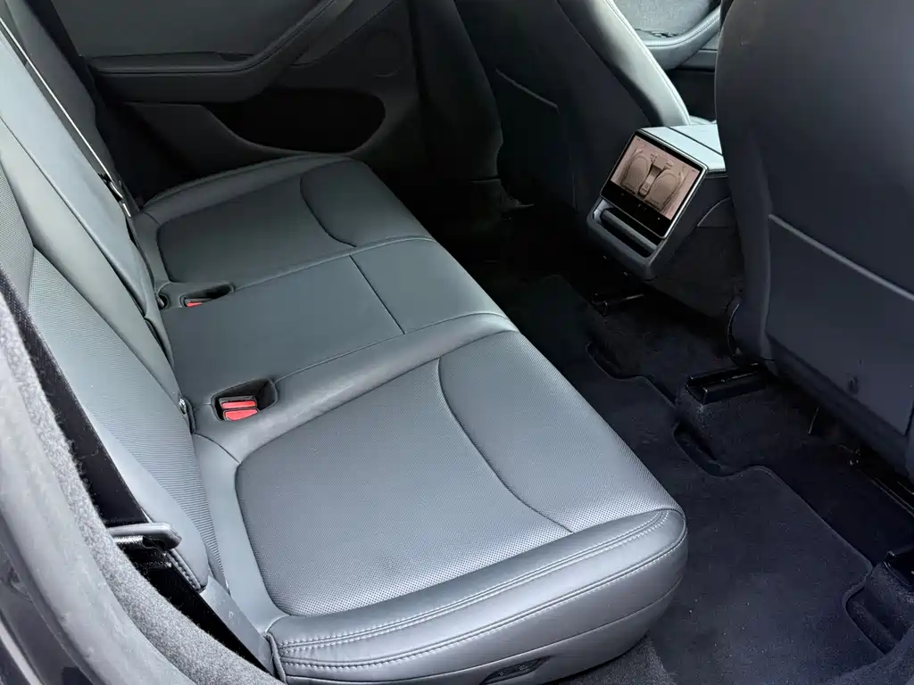 Tesla Model Y — миниатюра 11