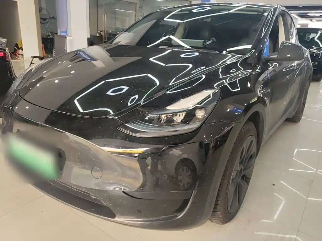 Tesla Model Y — миниатюра 2