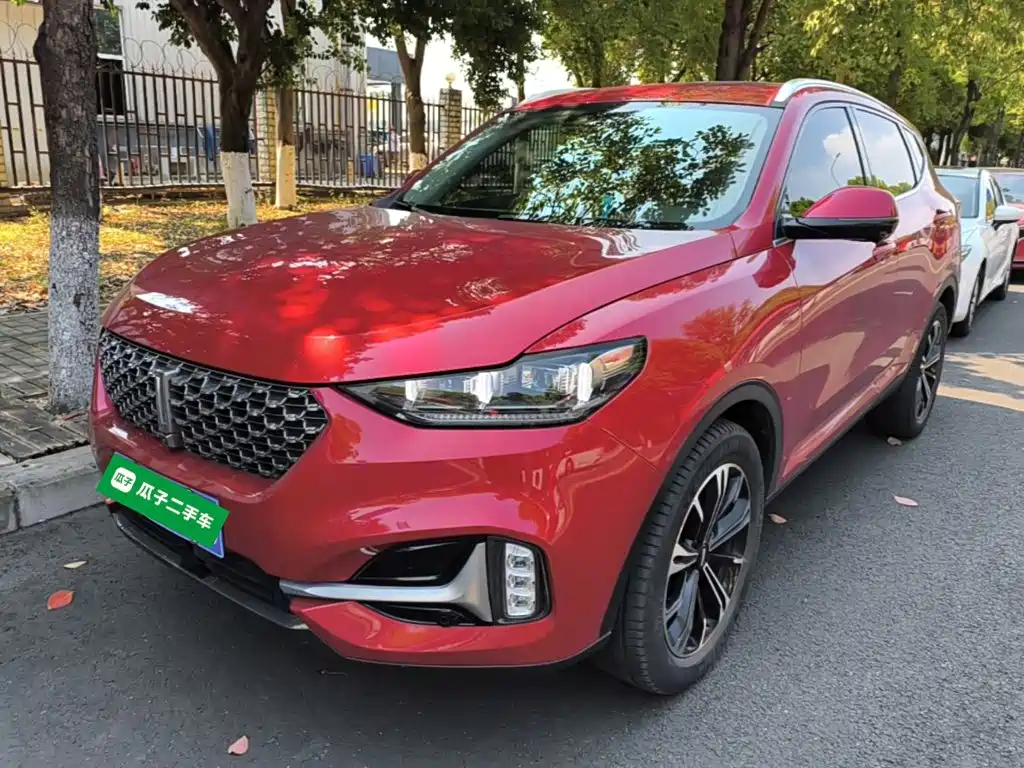 Wey Wey VV6