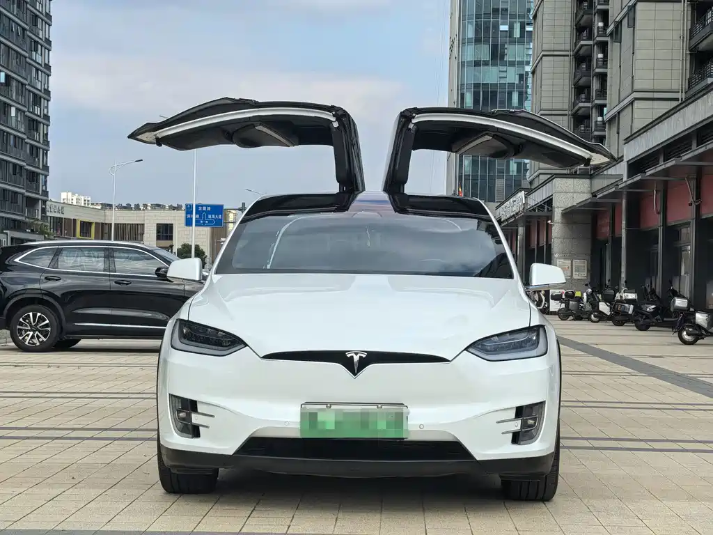 Tesla Model X — миниатюра 5