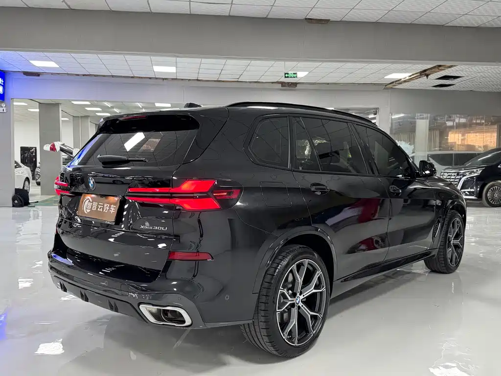 BMW X5 — миниатюра 9