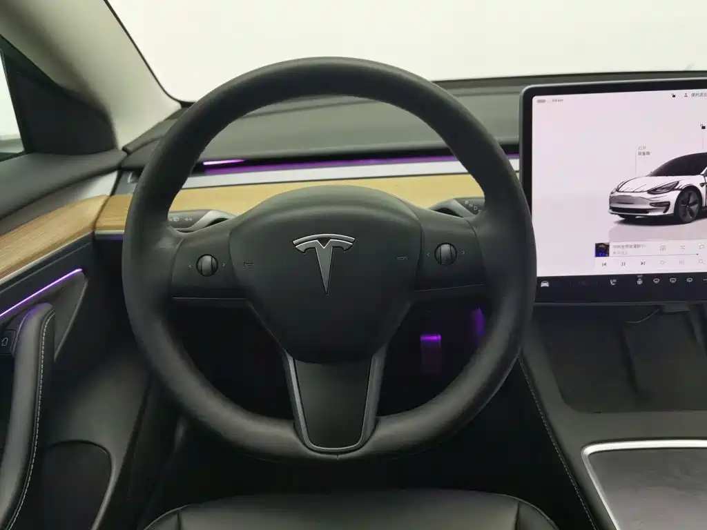 Tesla Model 3 — миниатюра 11