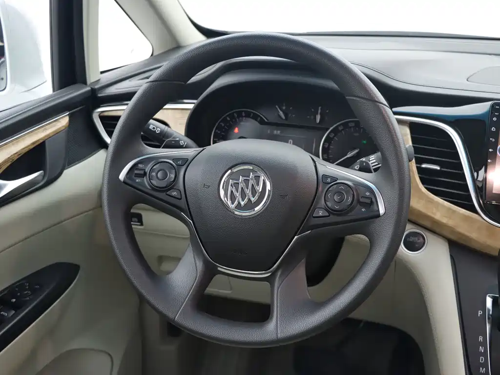 Buick GL8 — миниатюра 20