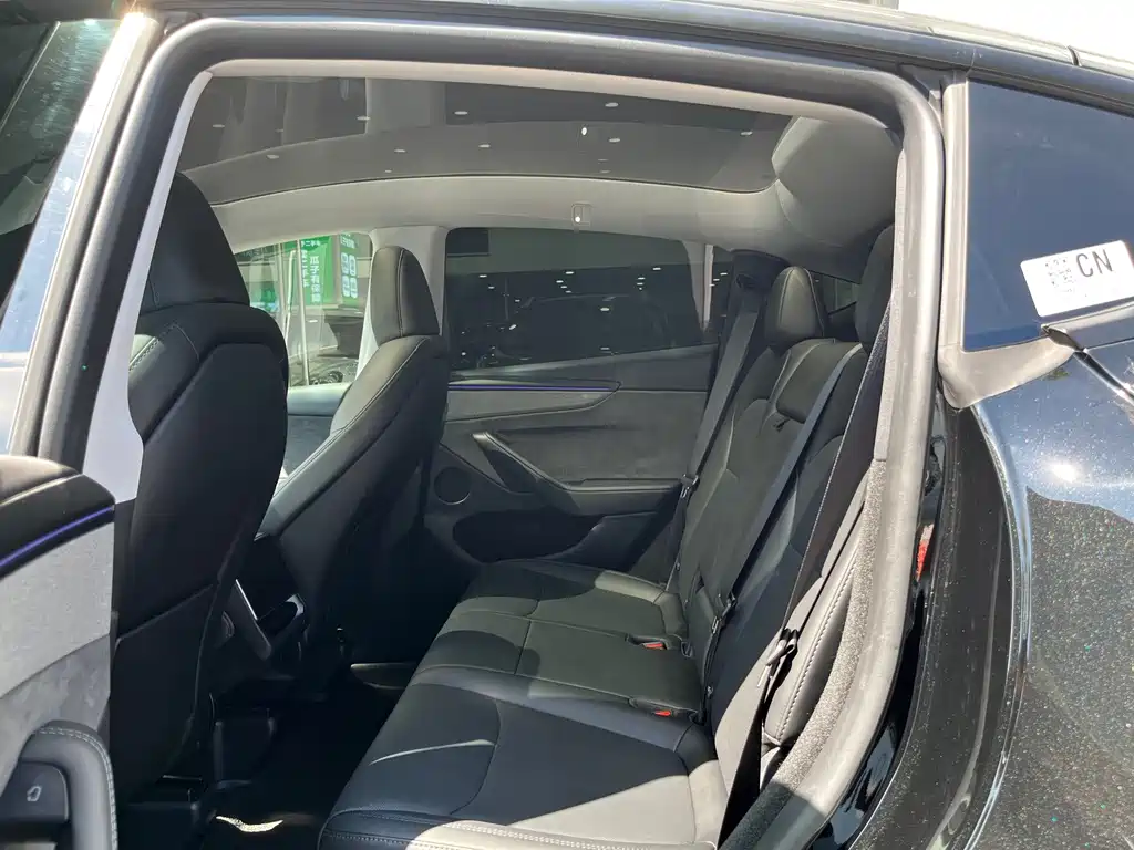 Tesla Model Y — миниатюра 6