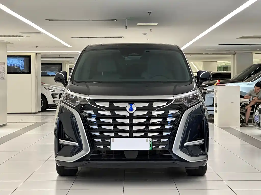 Denza Denza D9 — миниатюра 2