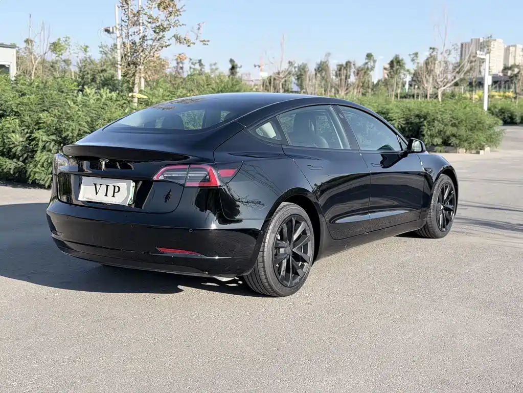 Tesla Model 3 — миниатюра 7
