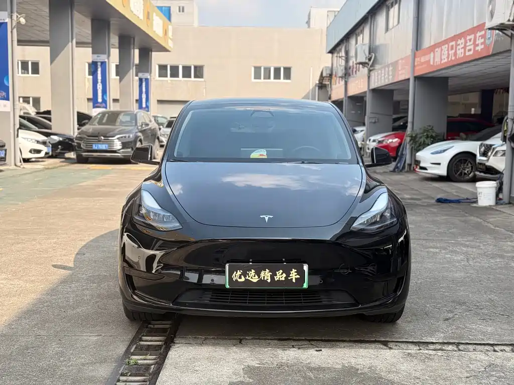 Tesla Model Y — миниатюра 2