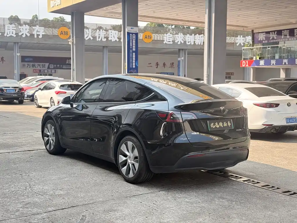 Tesla Model Y — миниатюра 12