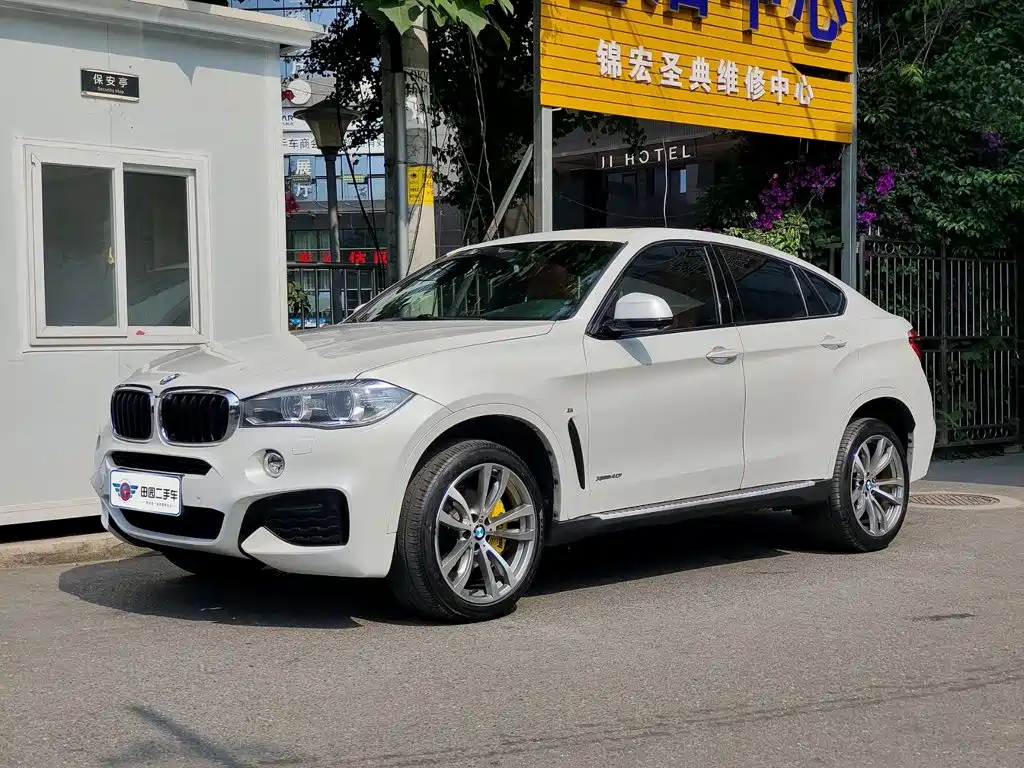 BMW X6