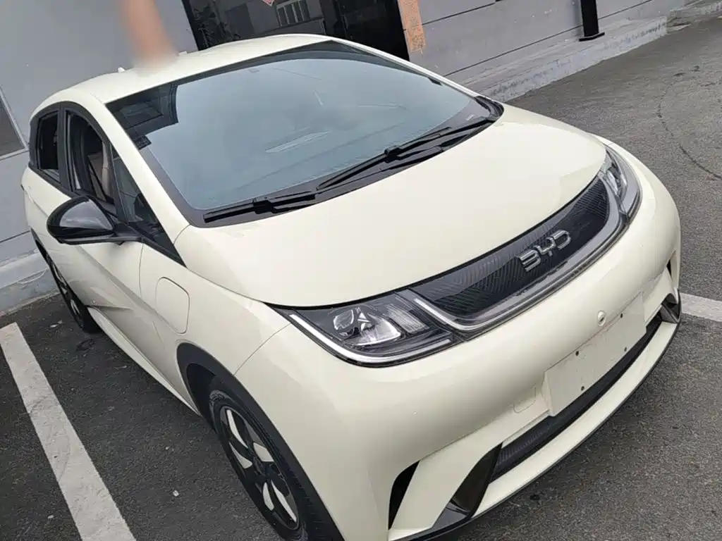 BYD Dolphin — миниатюра 4