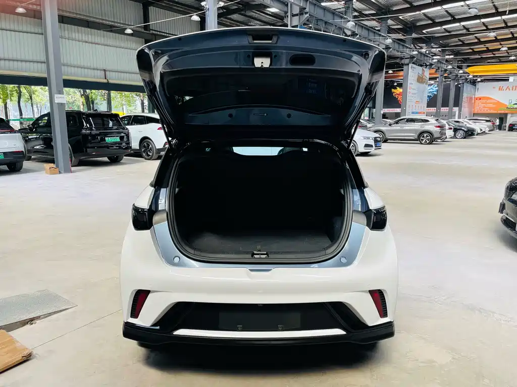 BYD Dolphin — миниатюра 21