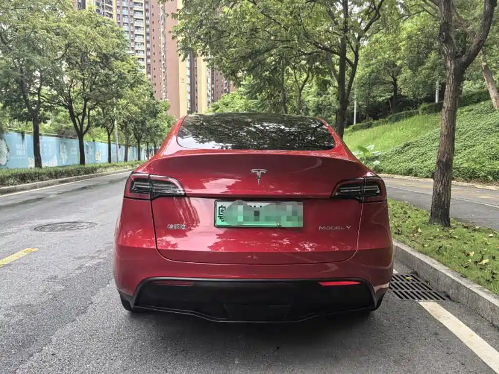 Tesla Model Y — миниатюра 10
