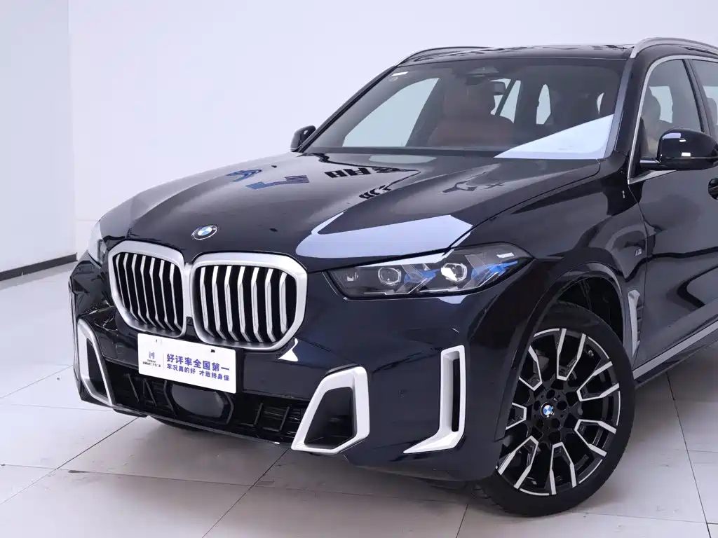 BMW X5 — миниатюра 3
