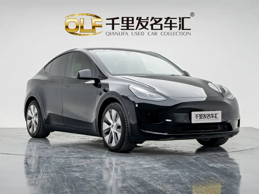 Tesla Model Y — миниатюра 4