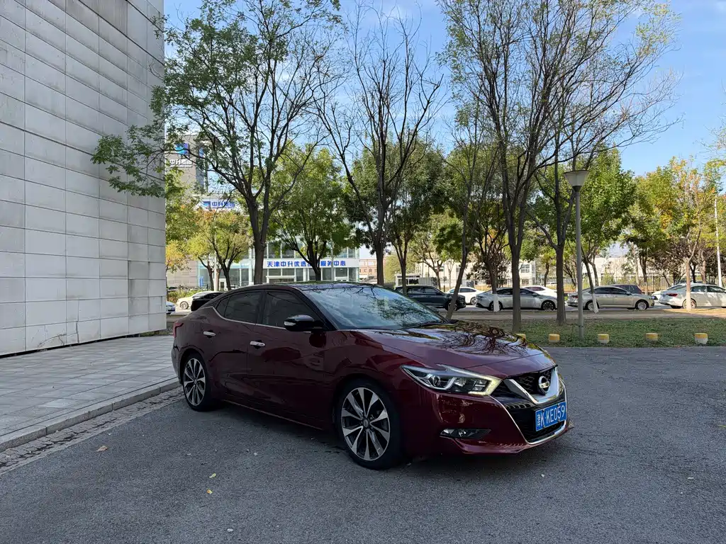 Nissan Cima — миниатюра 3