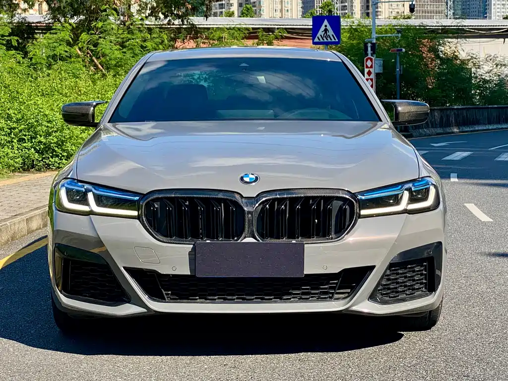 BMW 5 Series (Import) — миниатюра 2