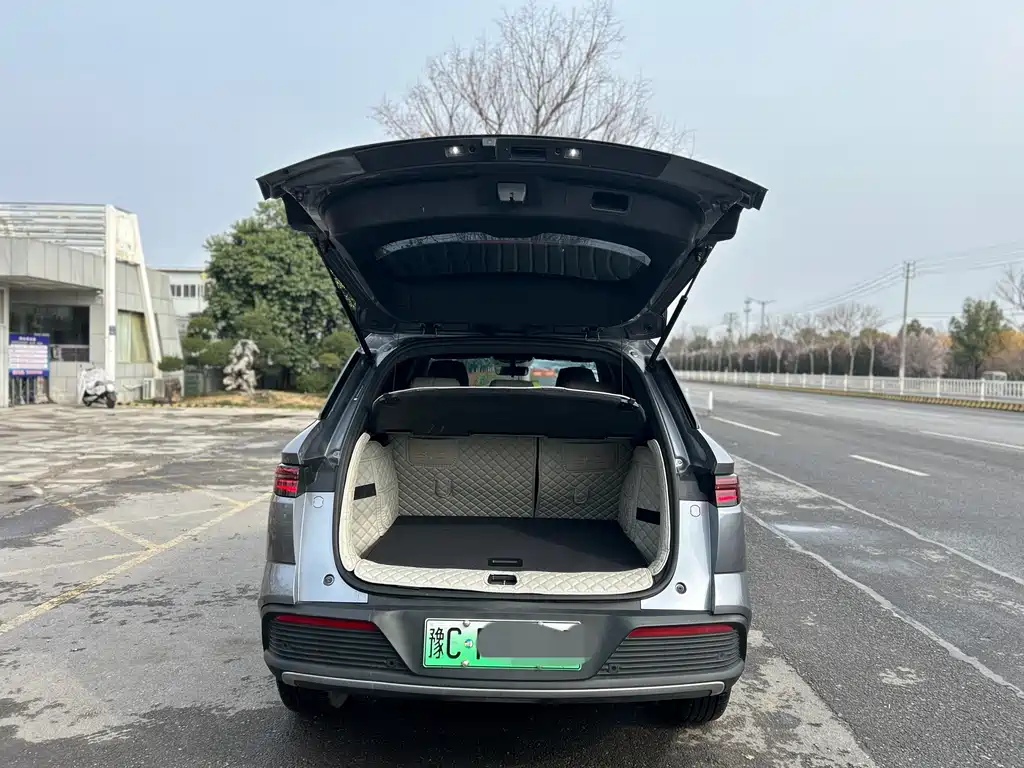 BYD SONGJIANG NEW ENERGY