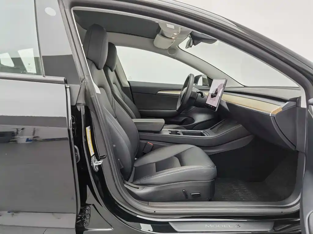 Tesla Model 3 — миниатюра 23