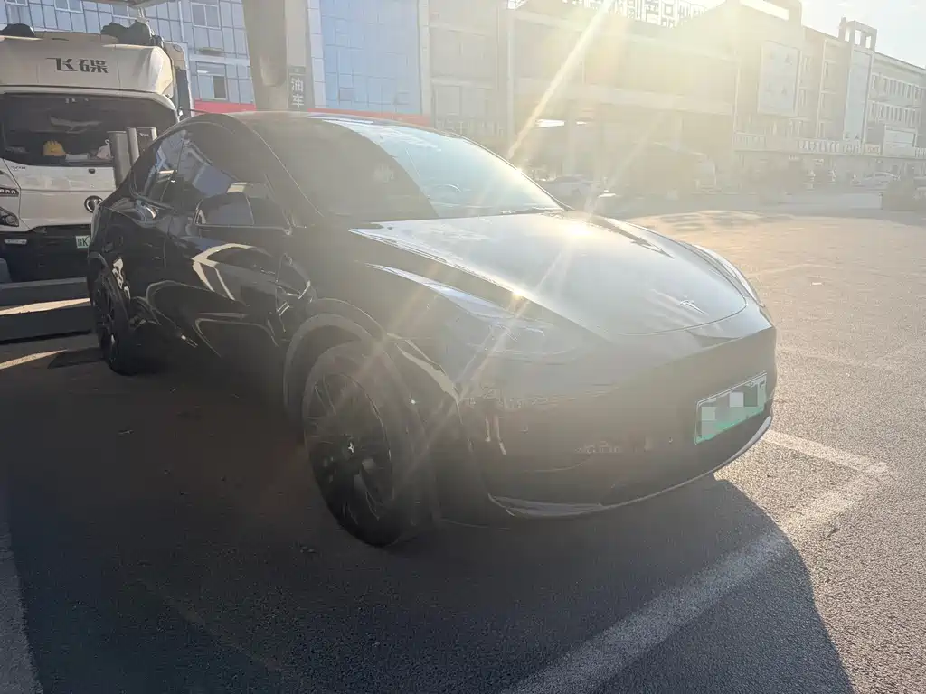 Tesla Model Y — миниатюра 3