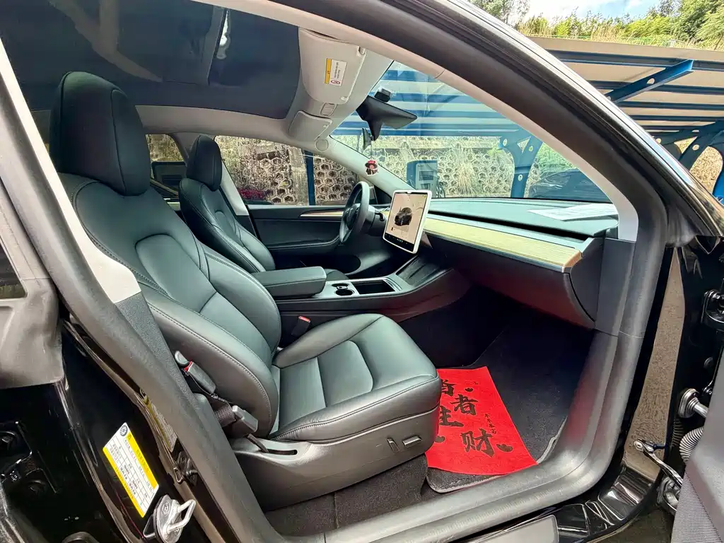 Tesla Model Y — миниатюра 13