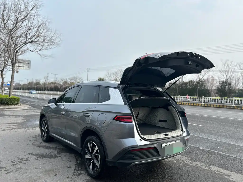 BYD SONGJIANG NEW ENERGY