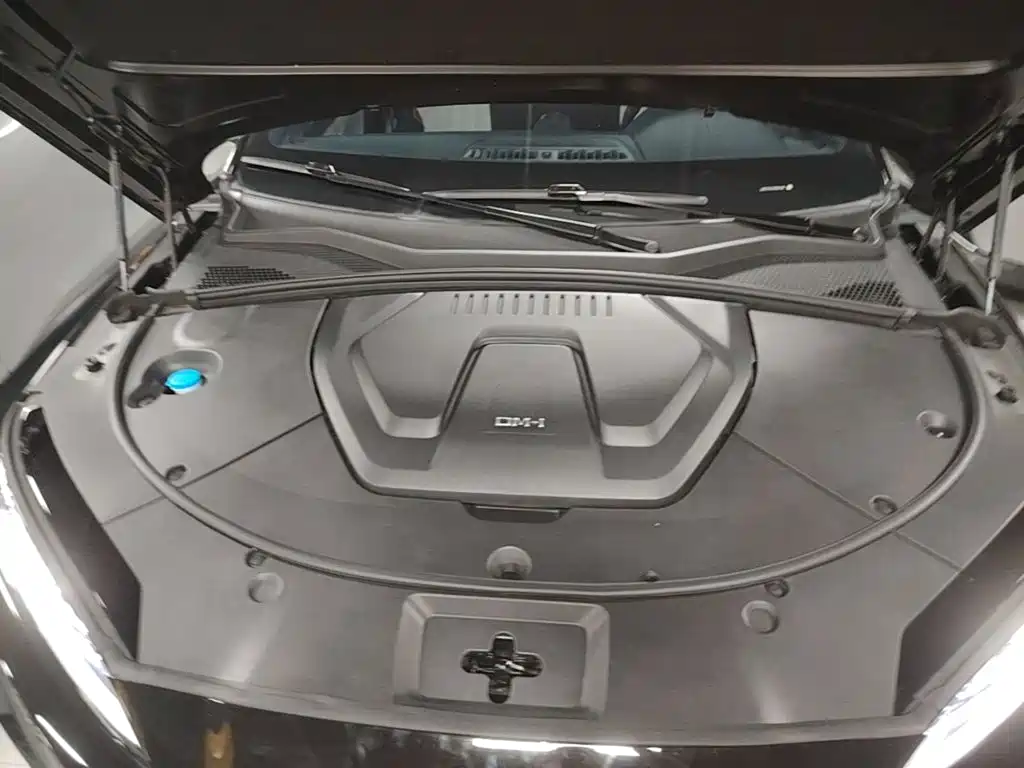 BYD PLUS New Energy — миниатюра 16
