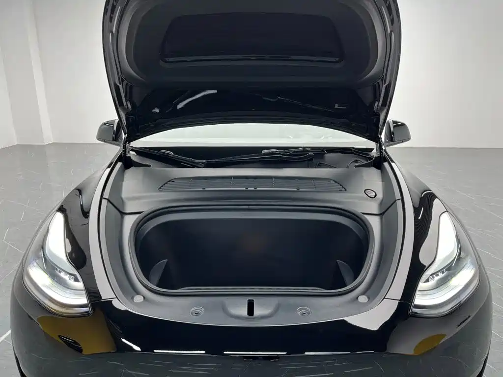 Tesla Model Y — миниатюра 12