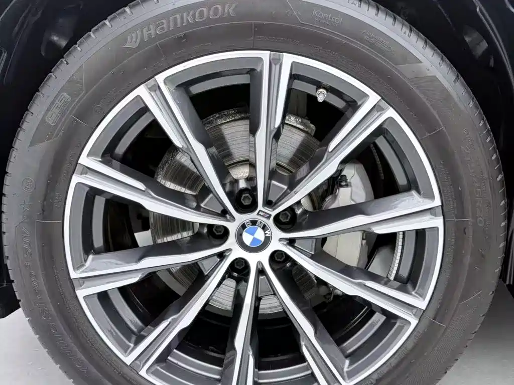 BMW X5 — миниатюра 8