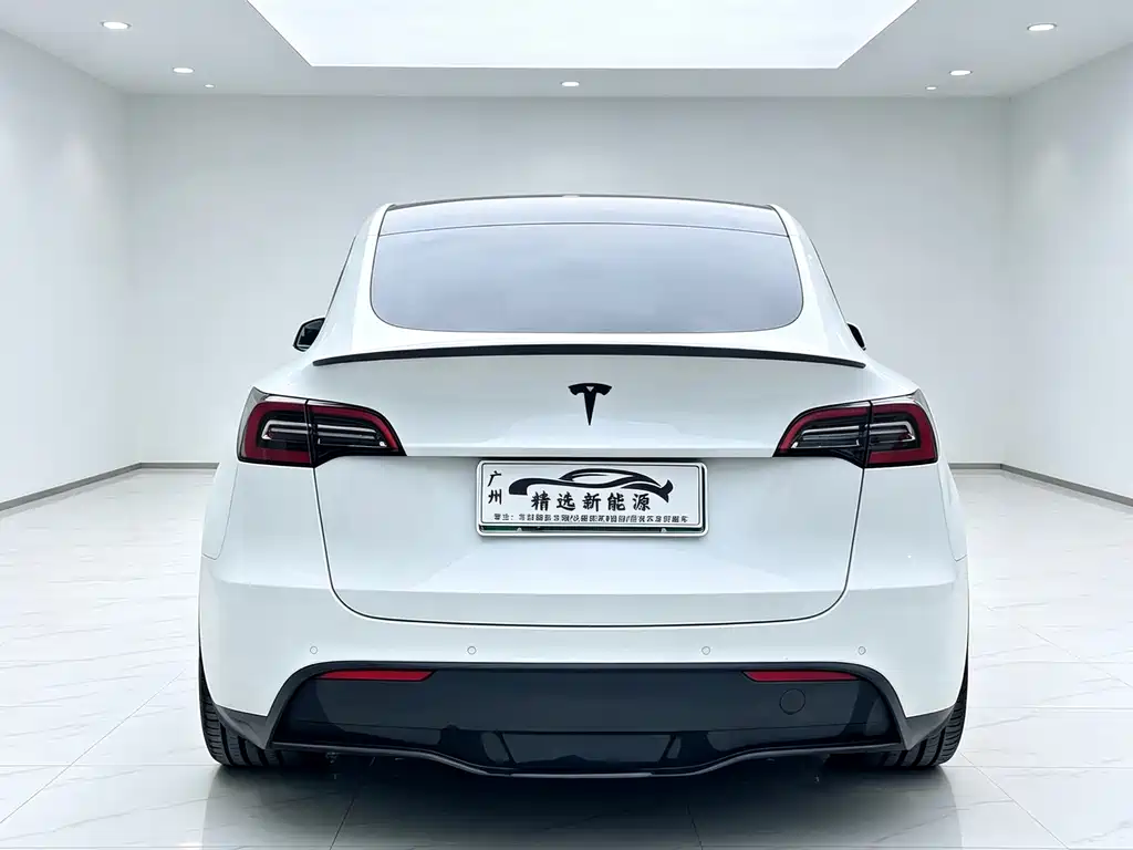 Tesla Model Y — миниатюра 27