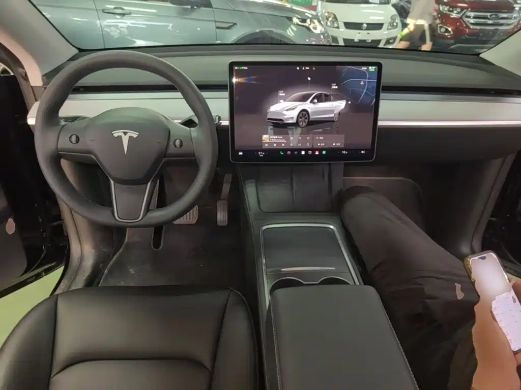 Tesla Model Y — миниатюра 10