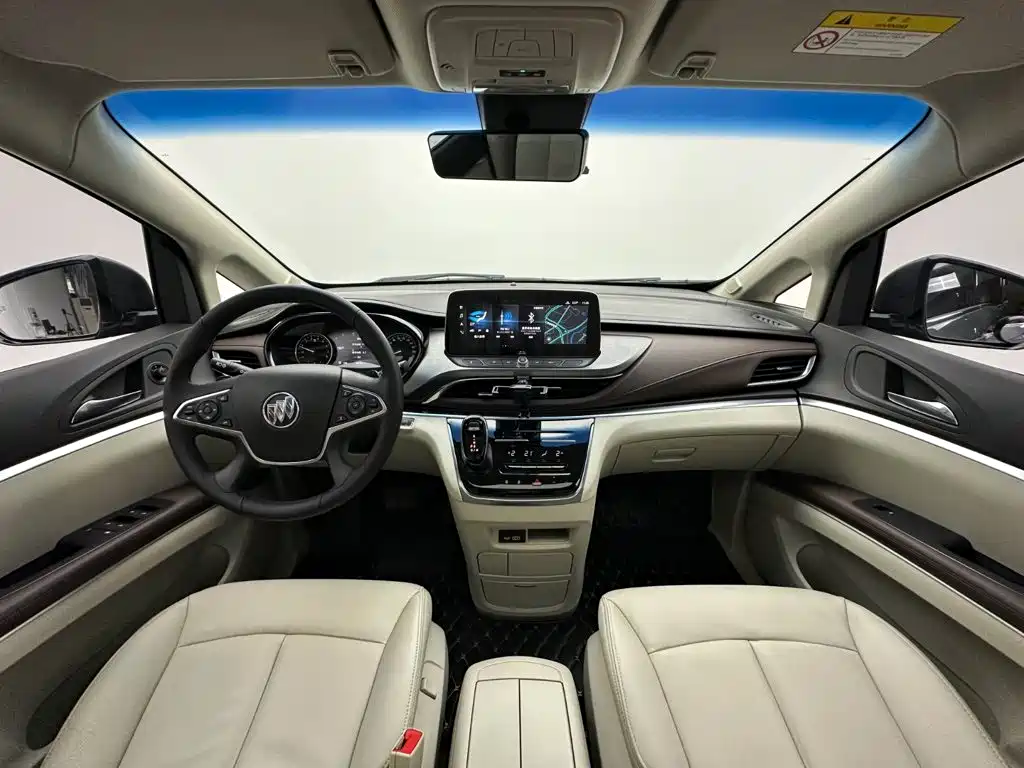 Buick GL8 — миниатюра 20