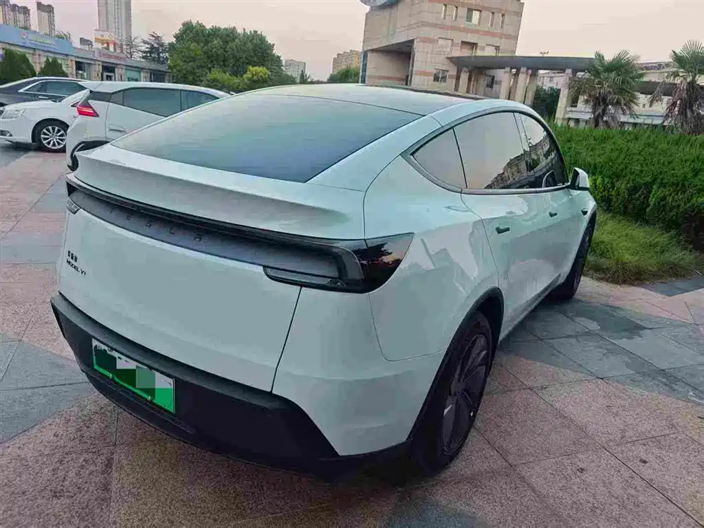 Tesla Model Y — миниатюра 9