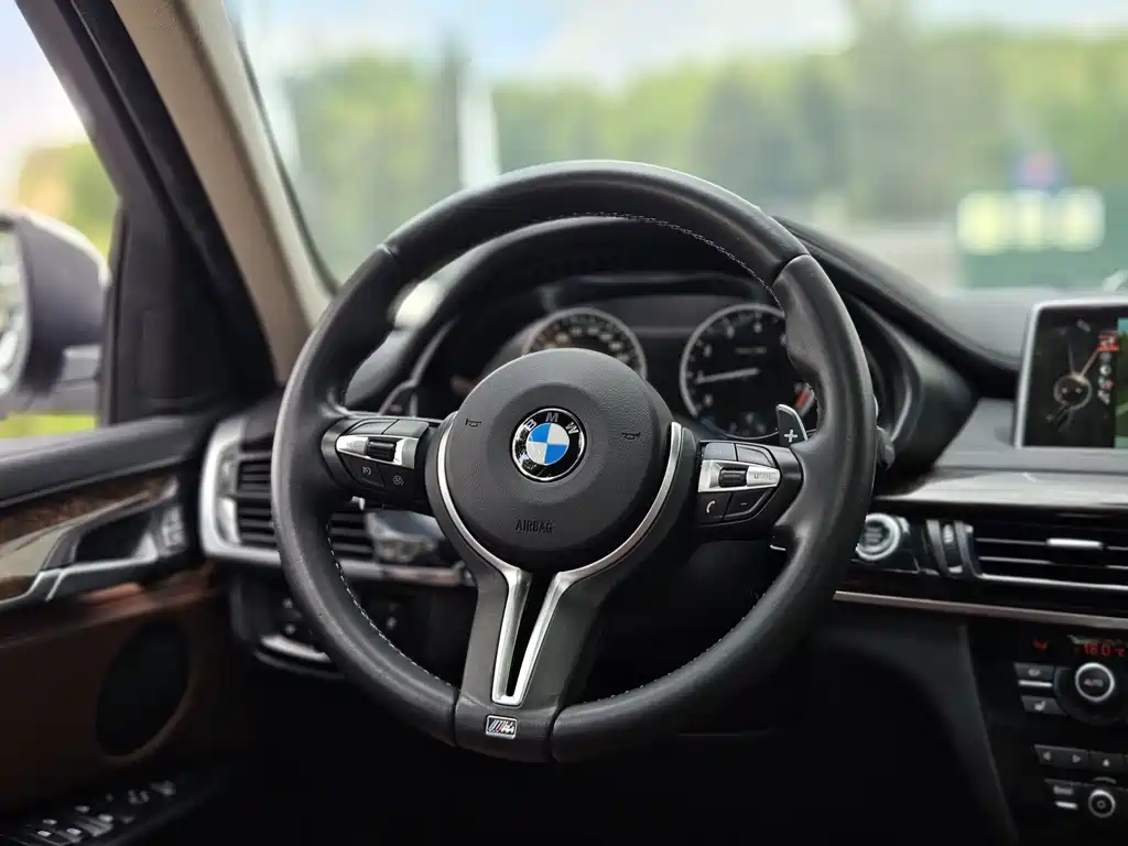 BMW X6 — миниатюра 13