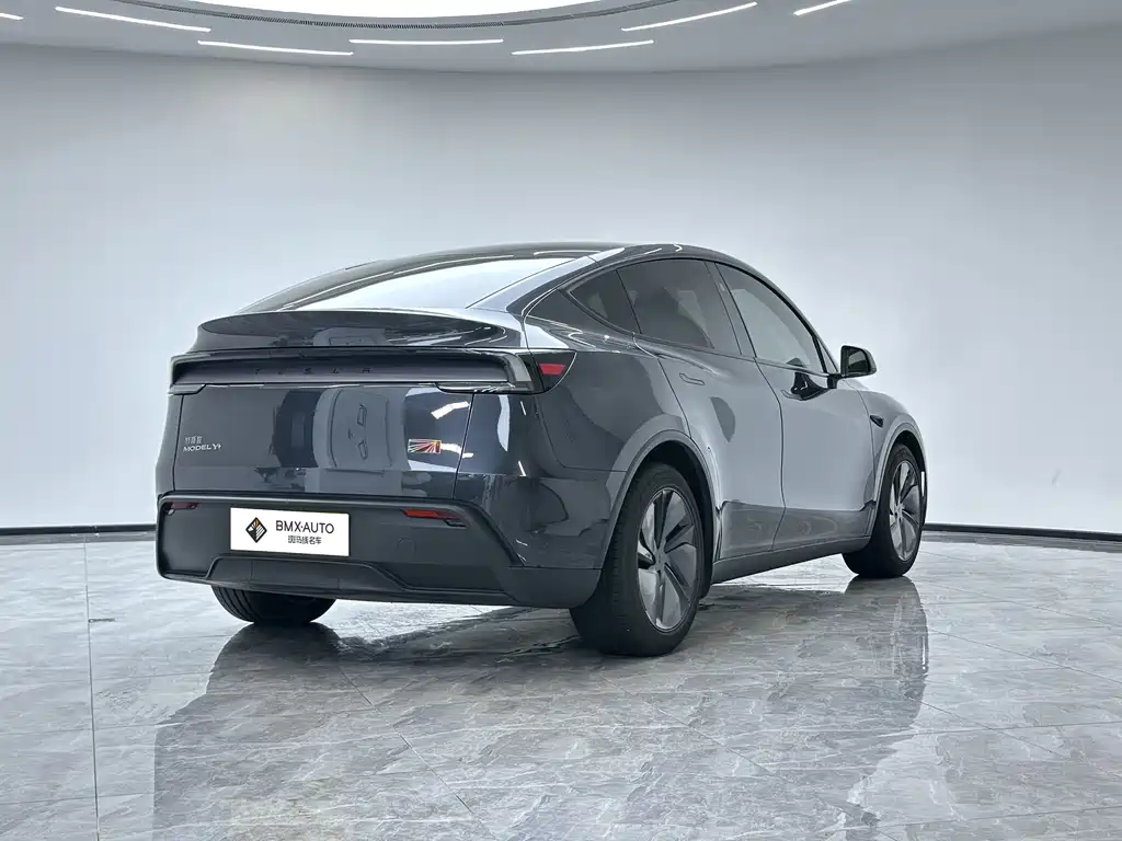 Tesla Model Y — миниатюра 3