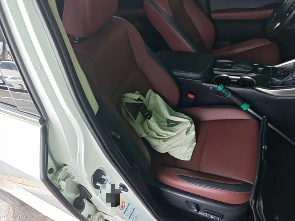 Lexus NX — миниатюра 25