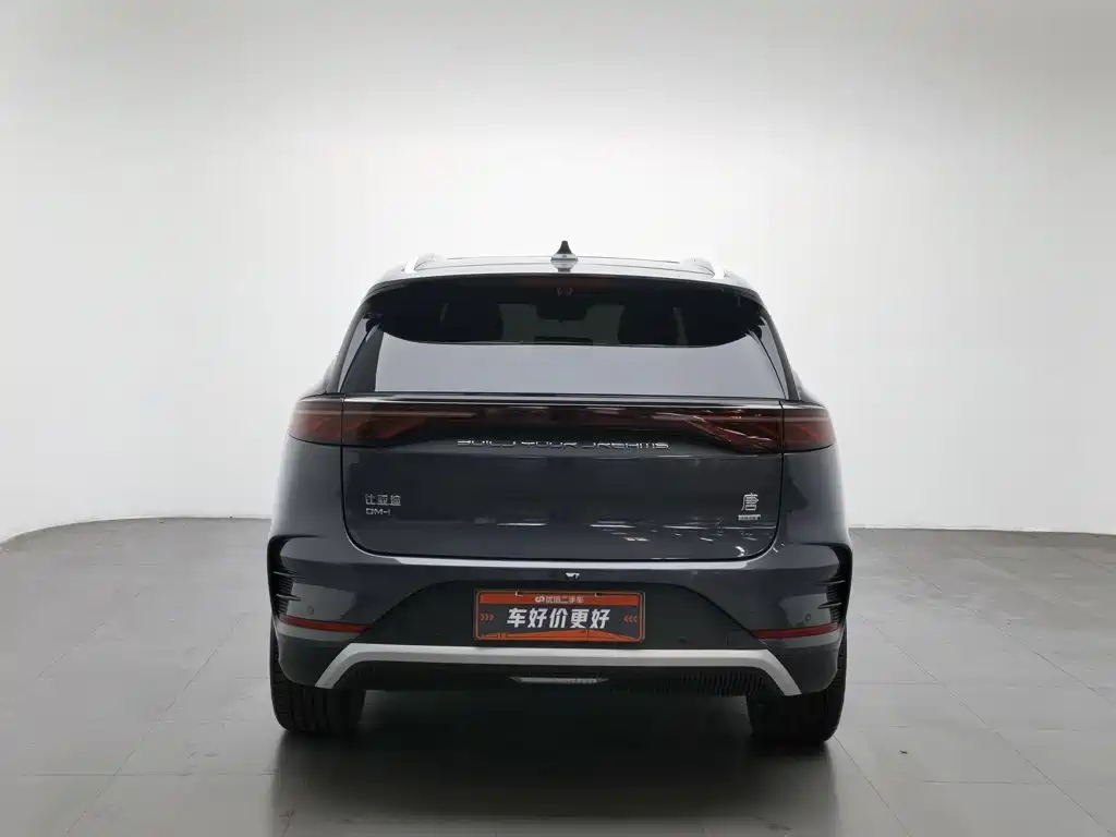 BYD Tang New Energy — миниатюра 4
